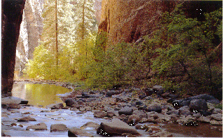 ZION